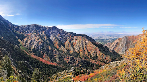 dry skin treatment Park City